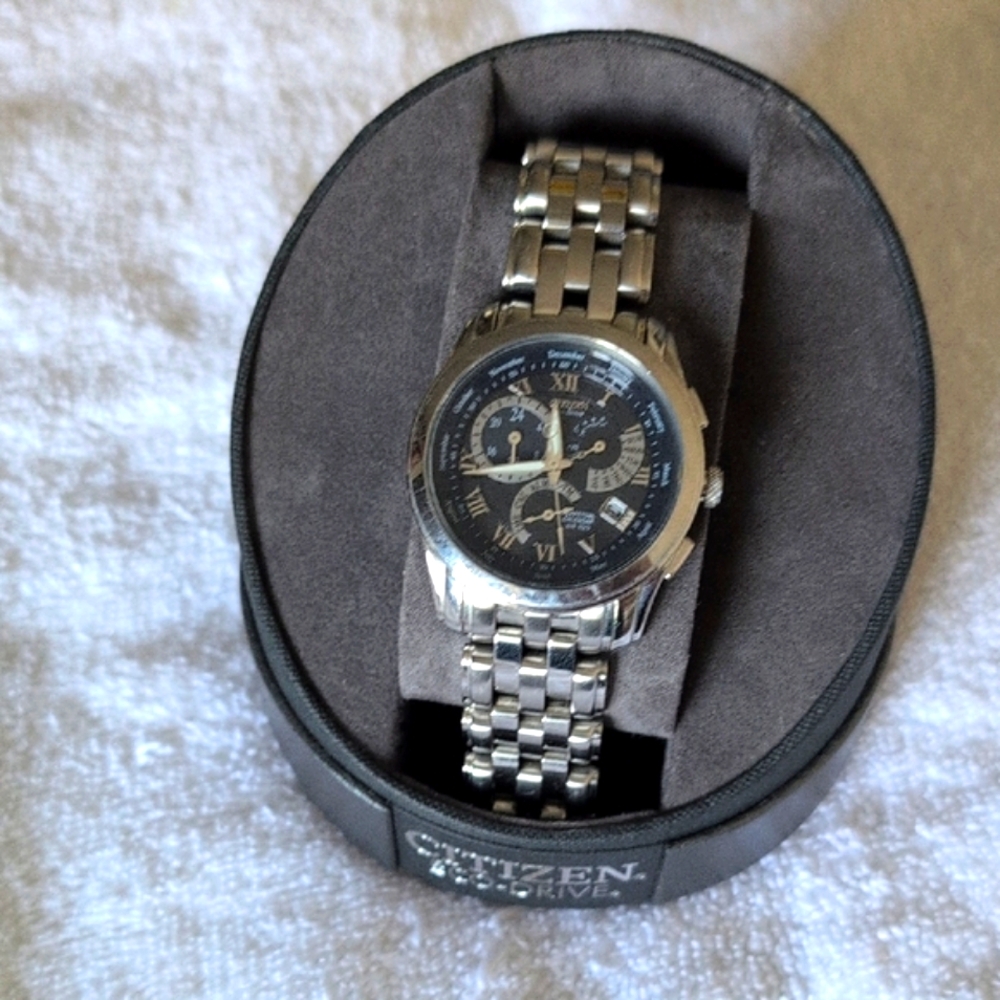 Citizen Eco-Drive BL8000-54L Perpetual Calendar Watch